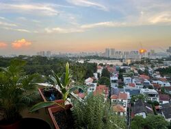 Allsworth Park (D10), Condominium #597089981